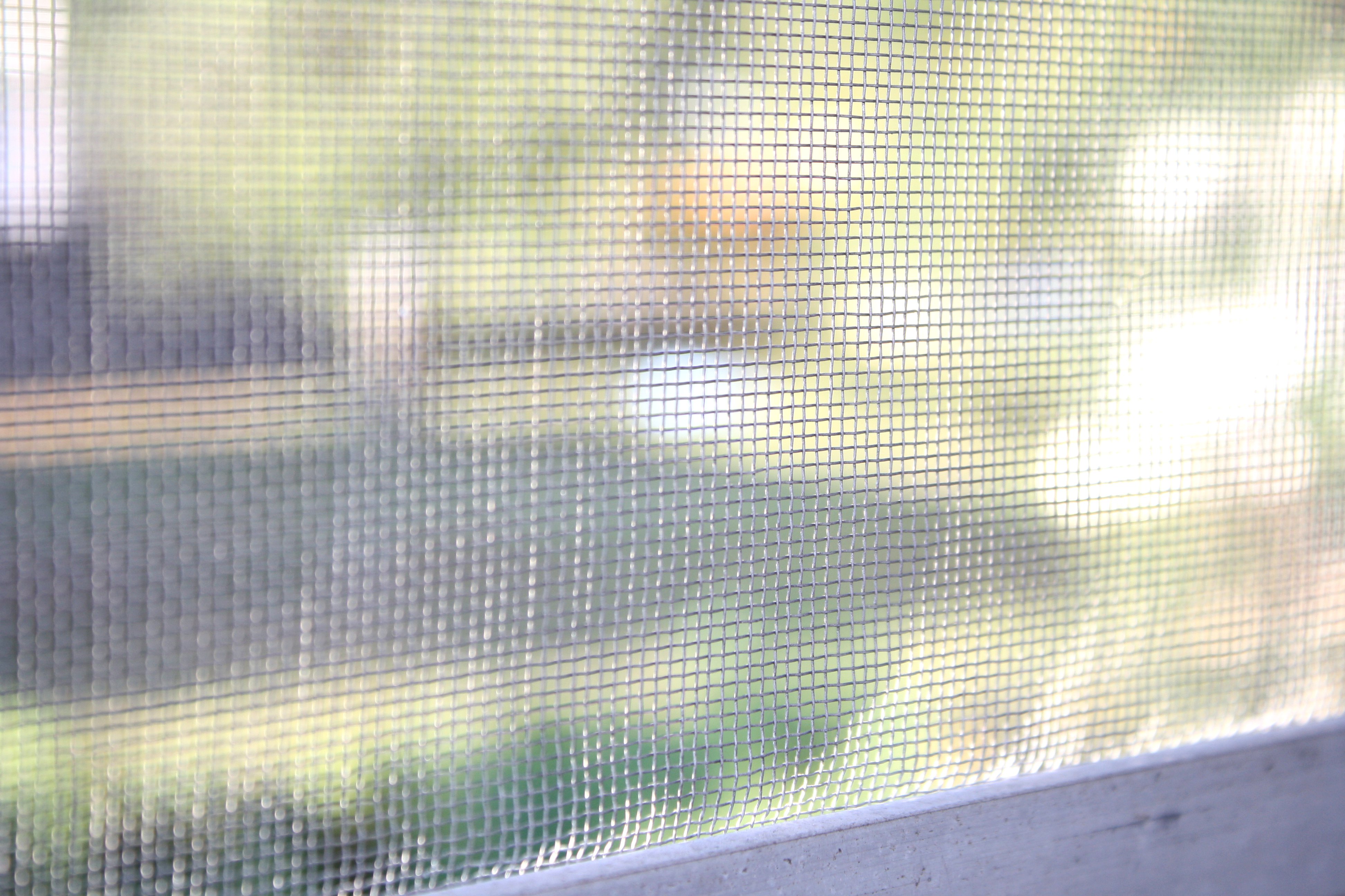 Are your Window Screens Ready for Summer?'s featured image