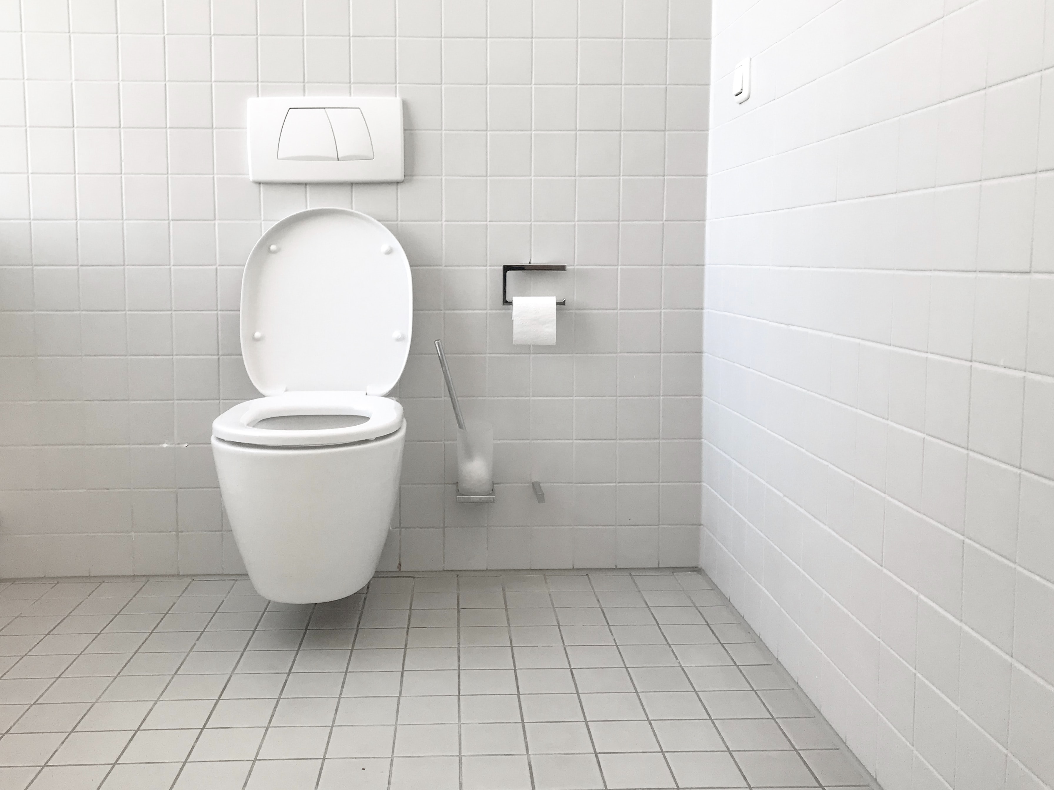 Keeping the Toilet Bowl Clean and Ring-Free's featured image