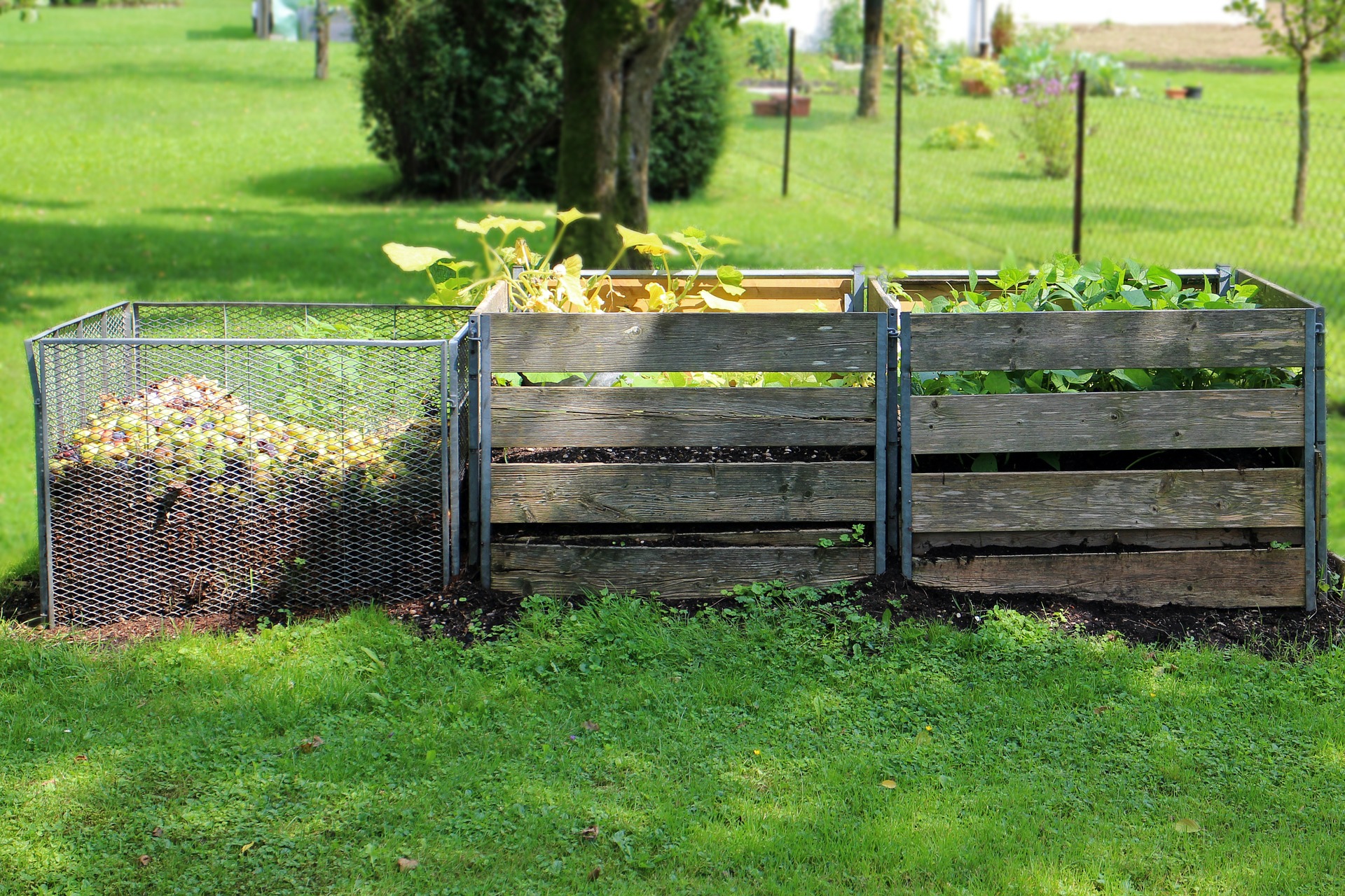 Setting up a Simple Backyard Compost System's featured image