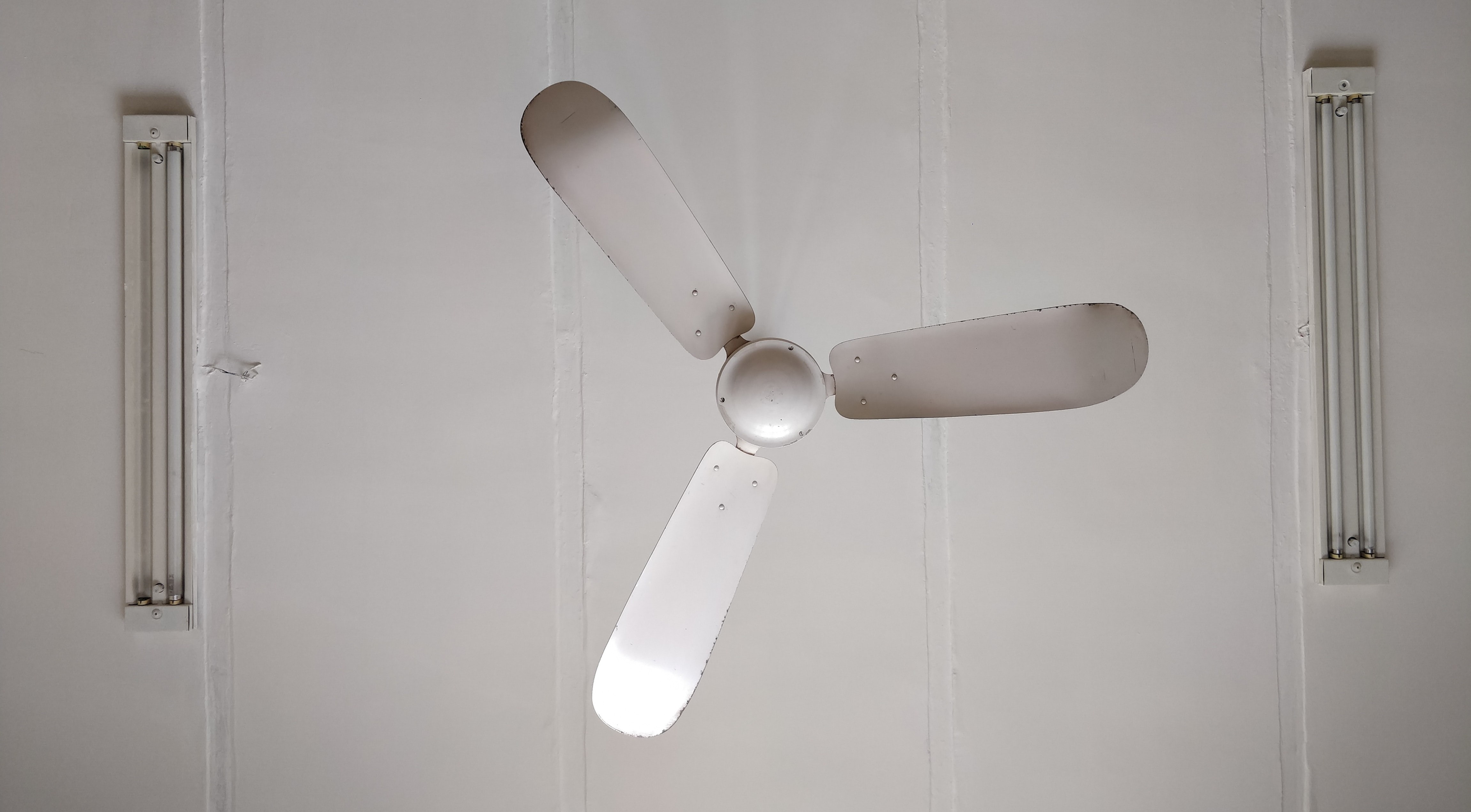 Flip your Fan to Cool for the Best Results's featured image