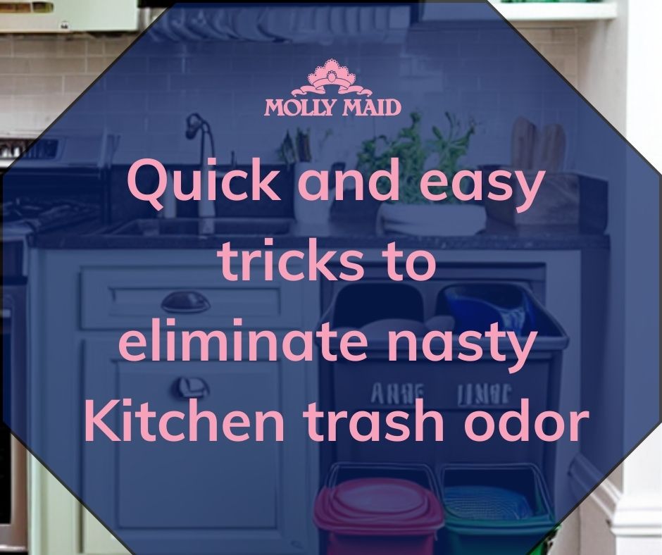 How to De-stink Your Kitchen Trash!'s featured image