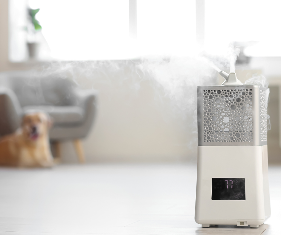 Best Tips for Your Humidifier's featured image