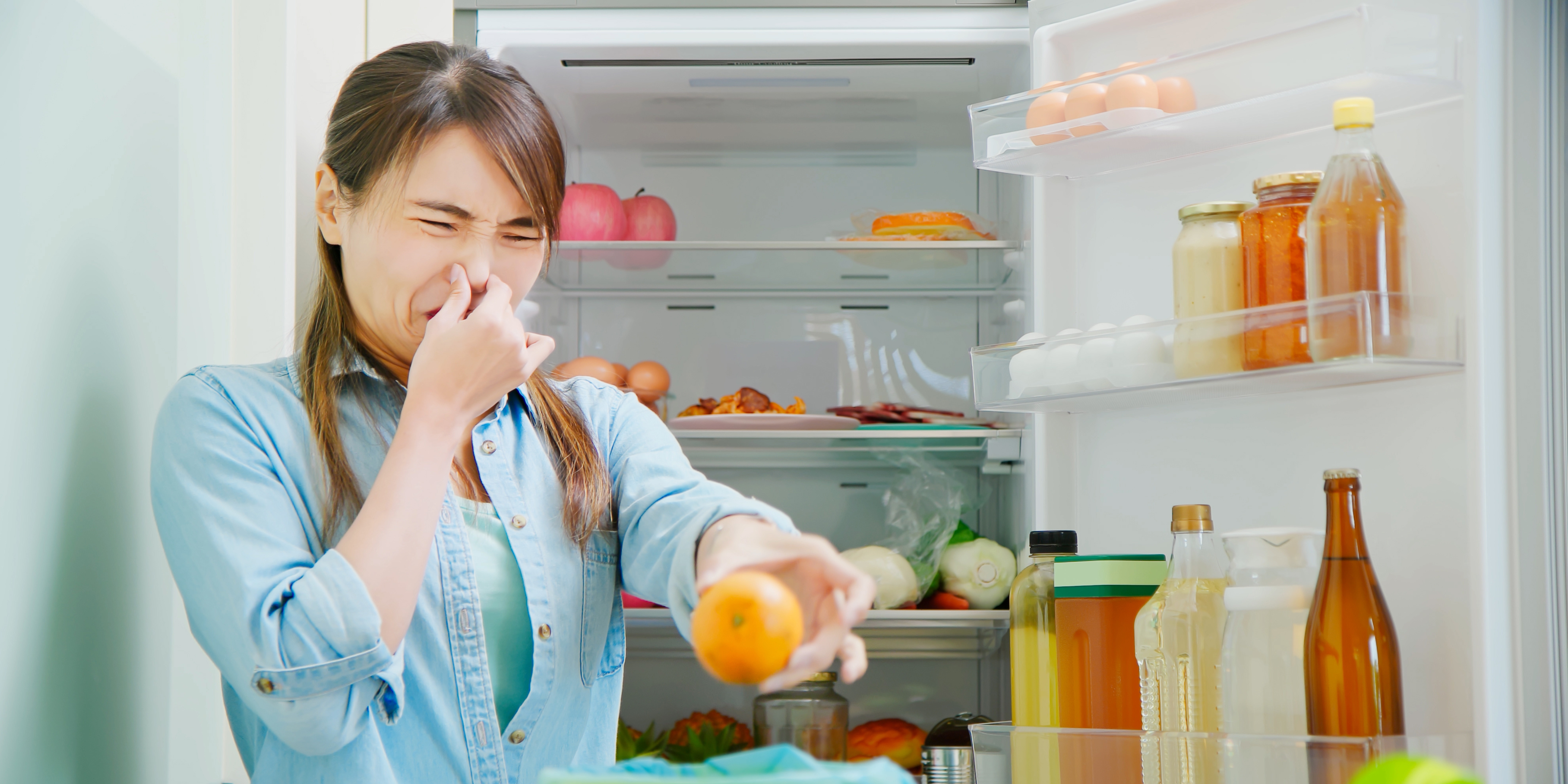 Effective Strategies for Odour Elimination Around the House's featured image
