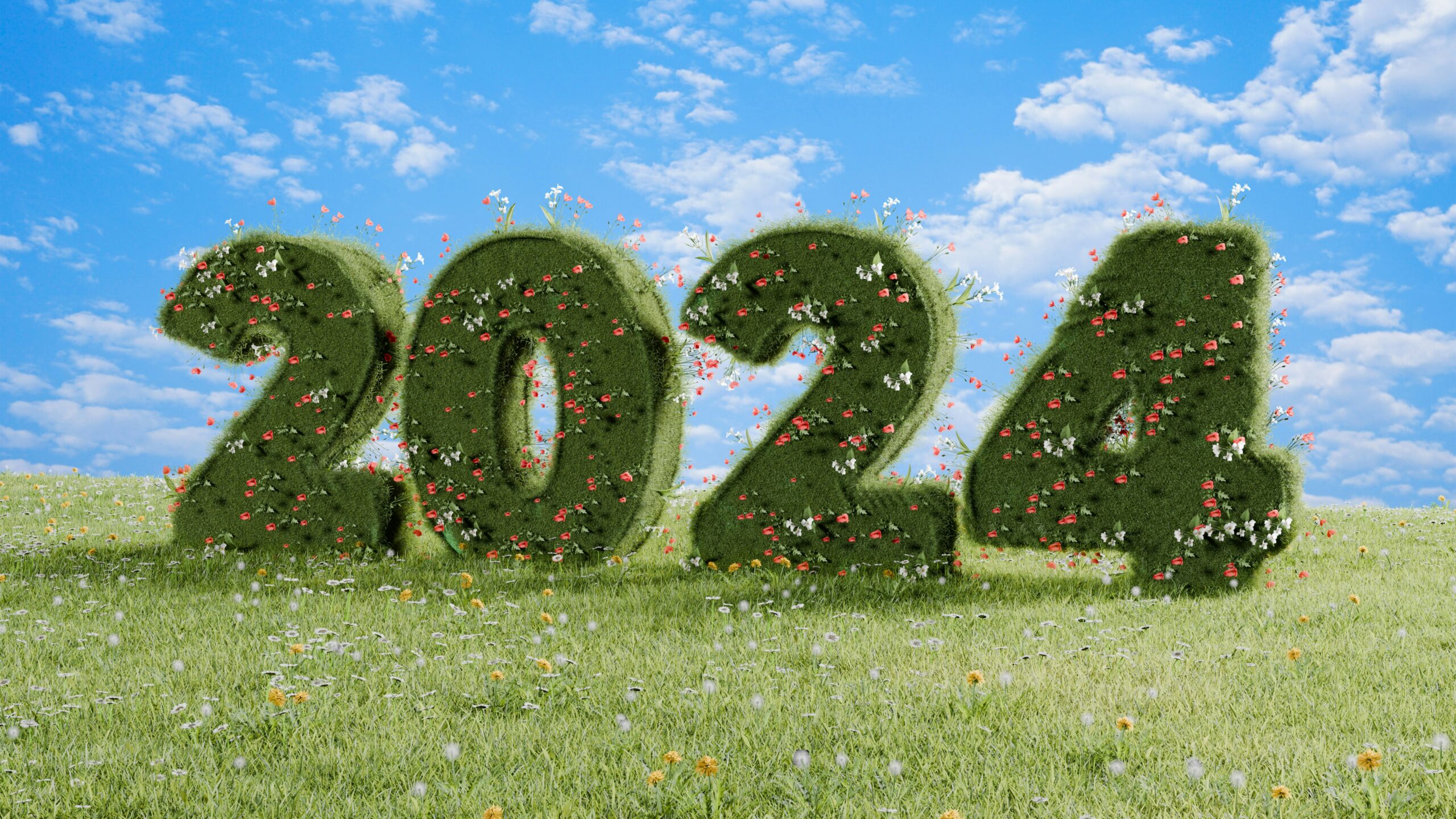 February 2024: Make the Most of This Leap Year!'s featured image