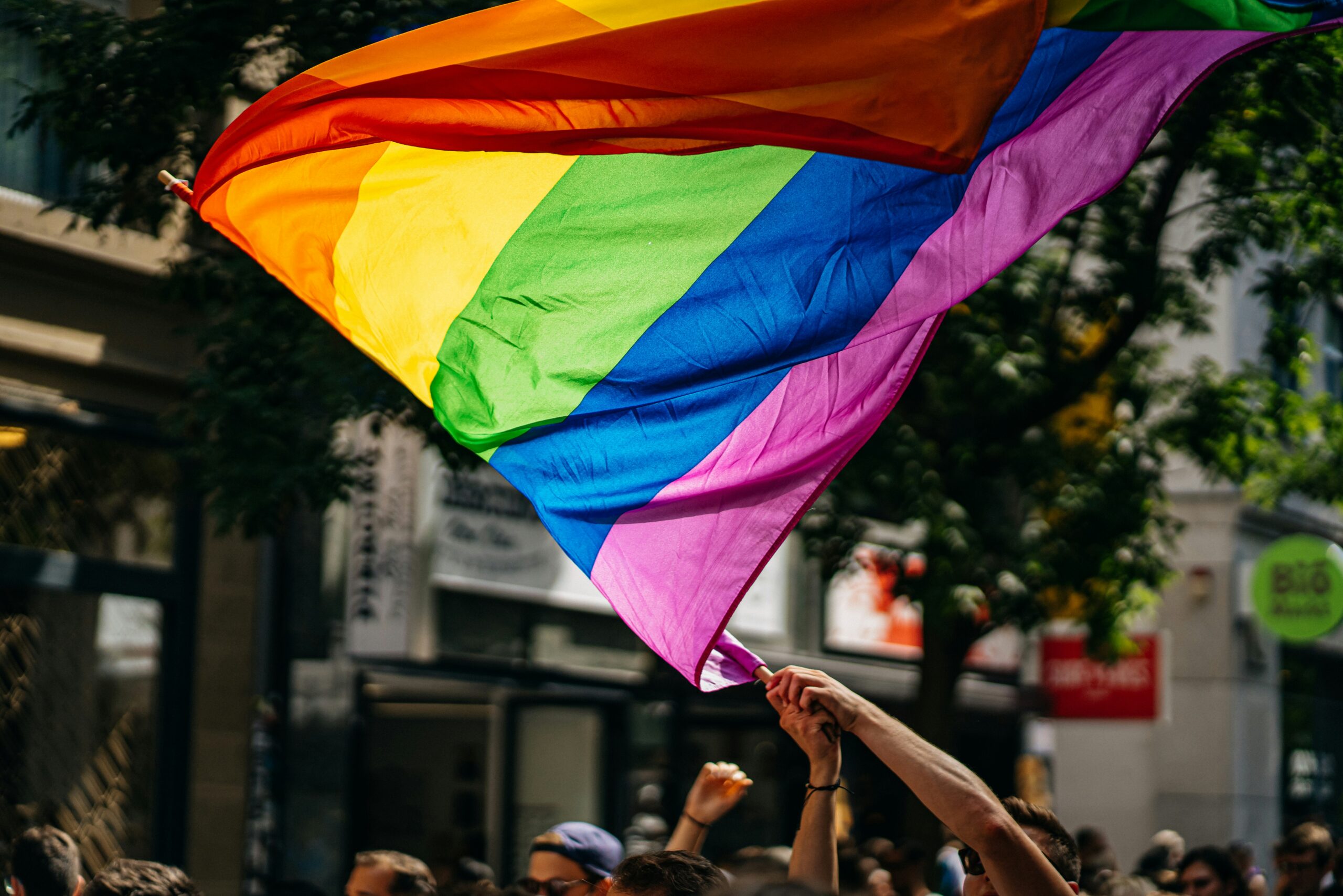 Pride 2024: The Pride Flag Story's featured image
