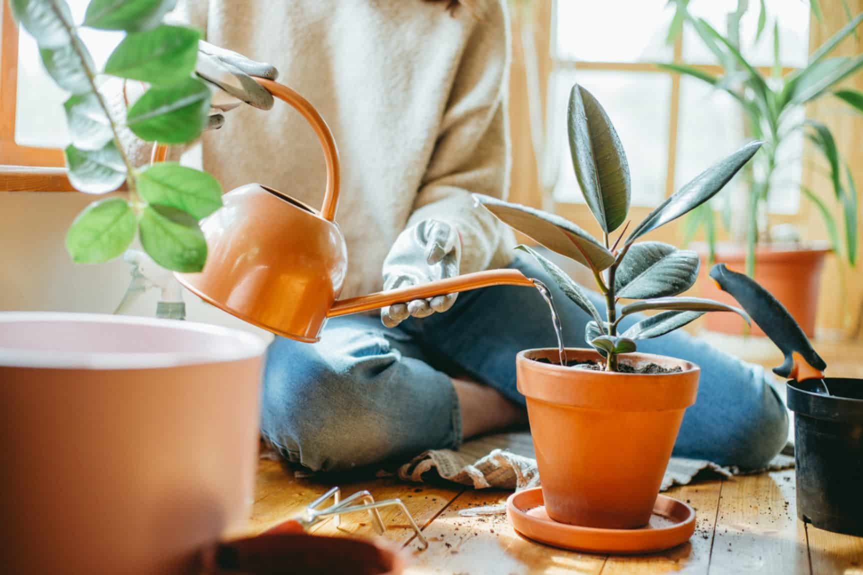 Give Old Things New Life and Boost Your Mood!'s featured image