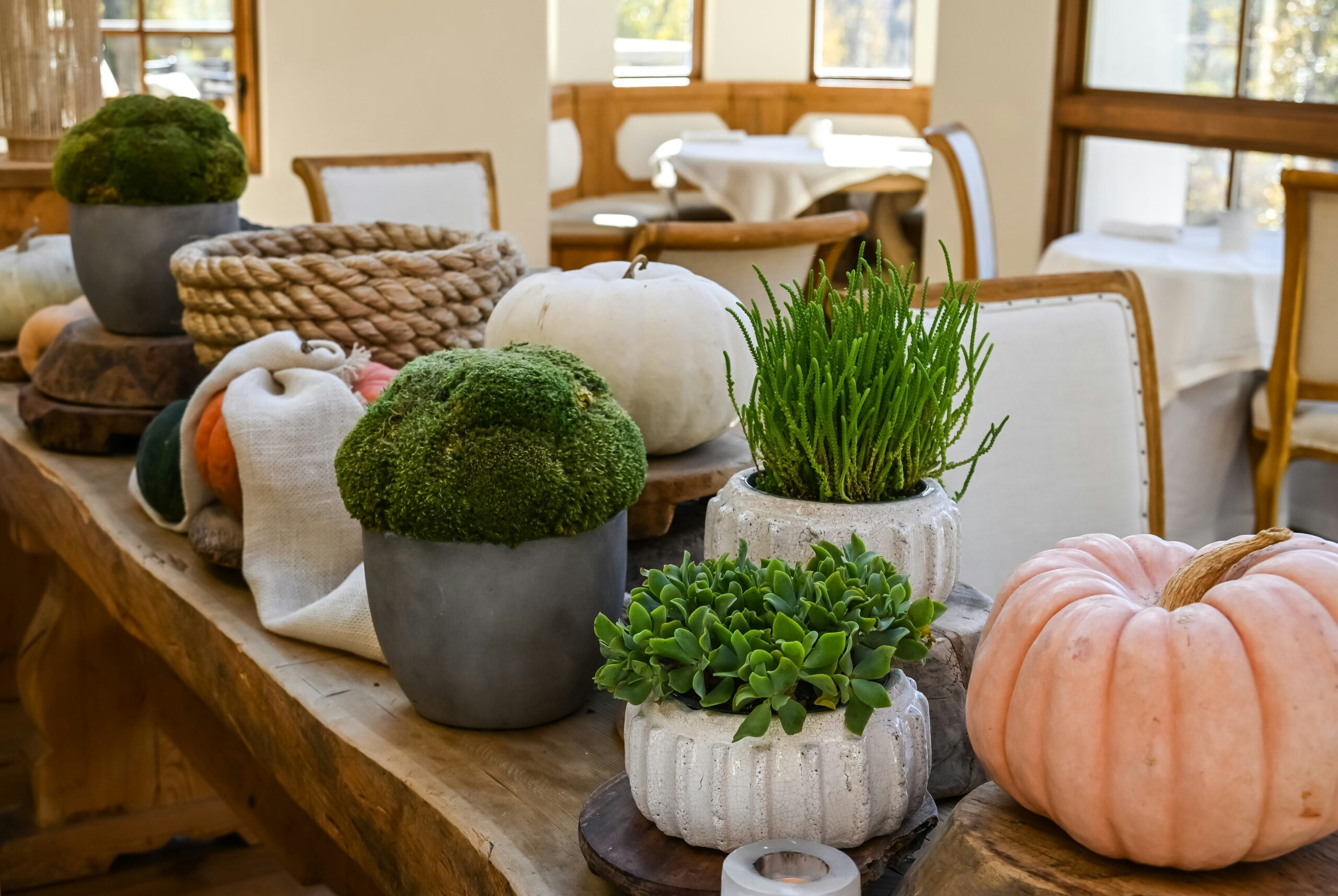 Fall Cleaning: A Seasonal Refresh's featured image