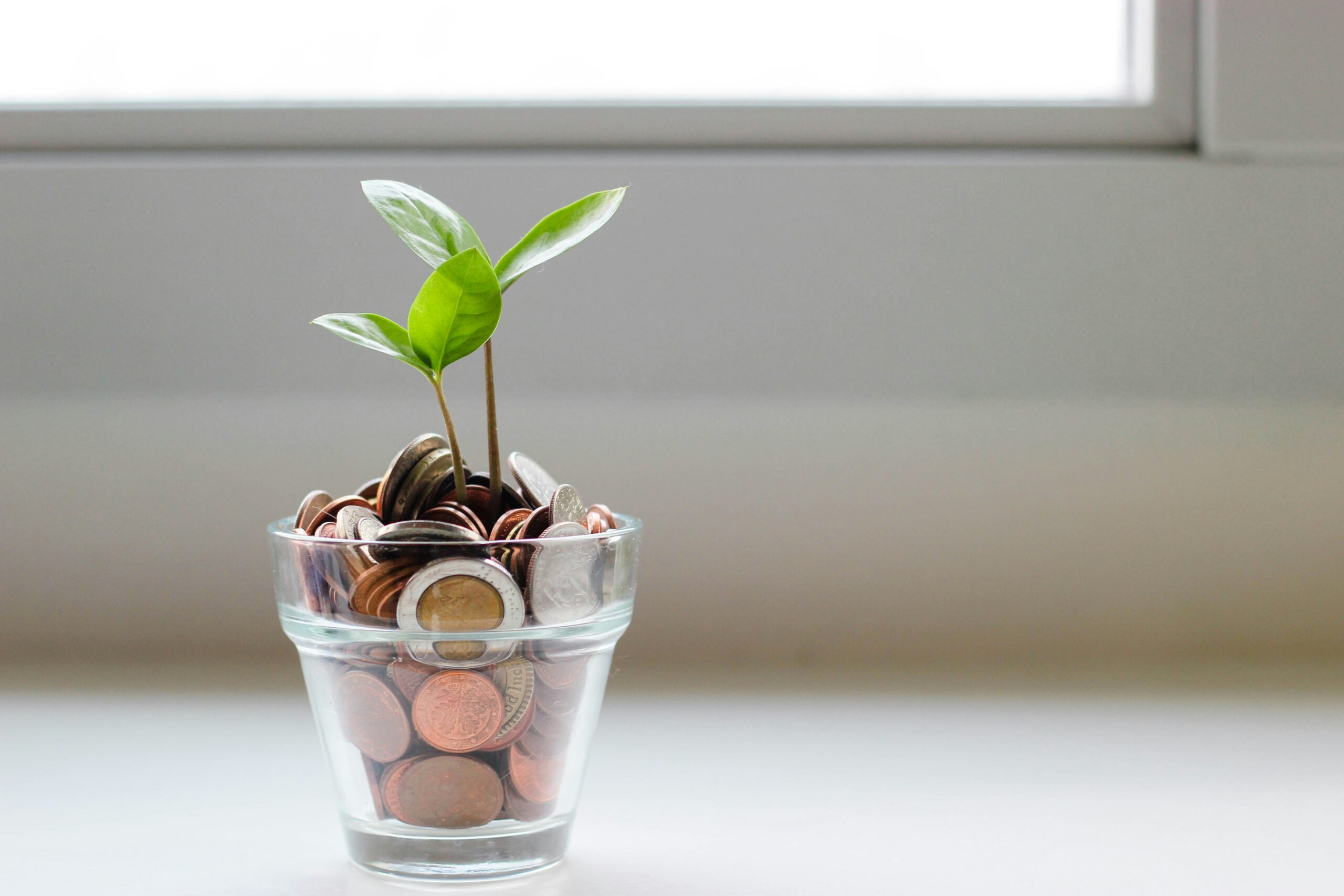 Breathe New Life into Your Finances this Spring's featured image