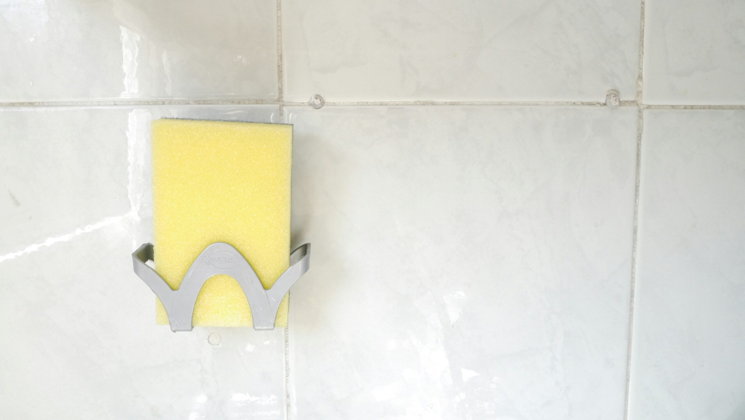 The Shocking Truth About Your Kitchen Sponge's featured image