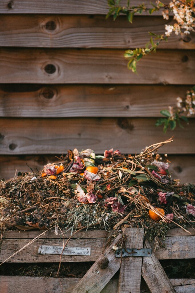 10 Surprising Things You Can Compost