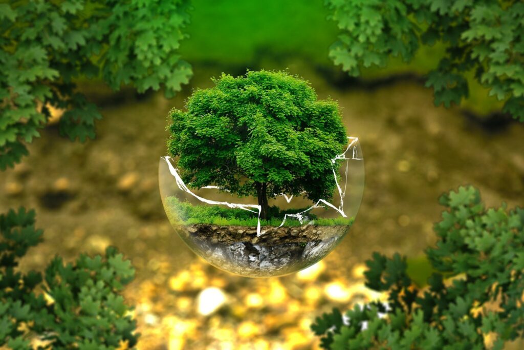Resetting our Relationship with Nature