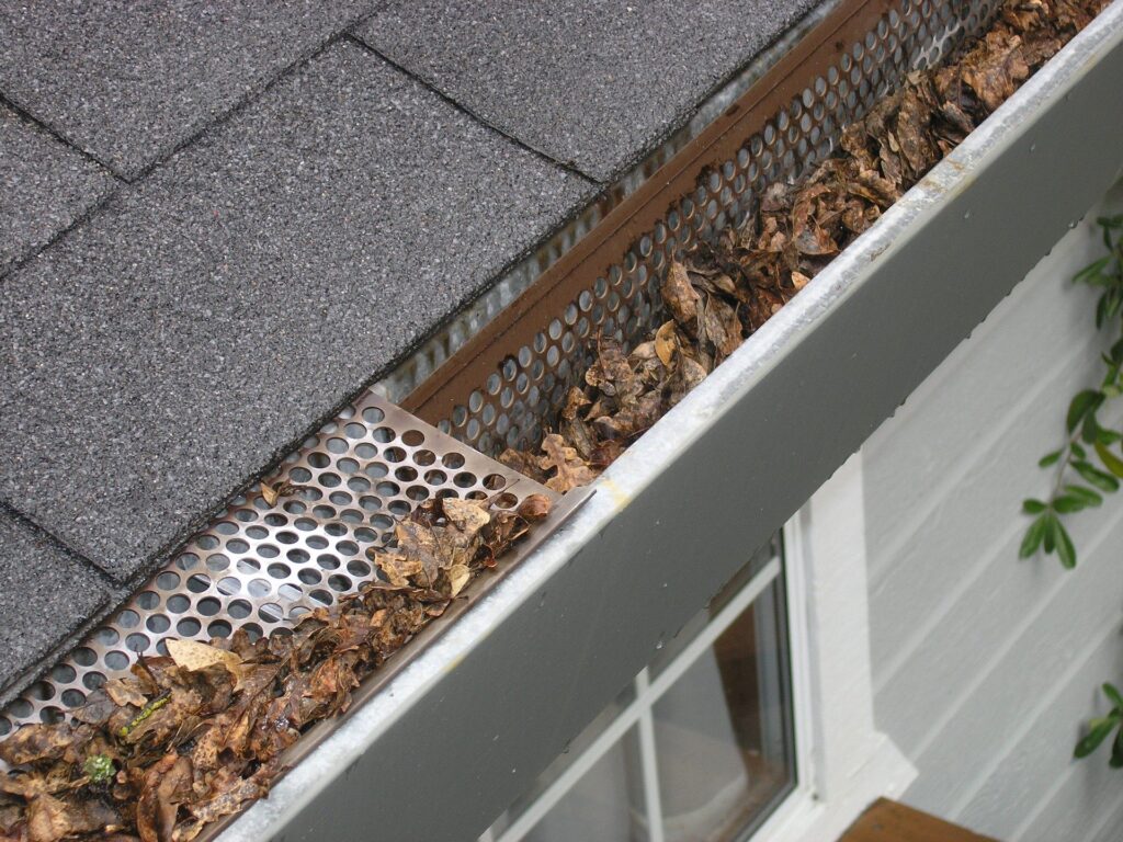 Stop Ignoring Your Gutters 