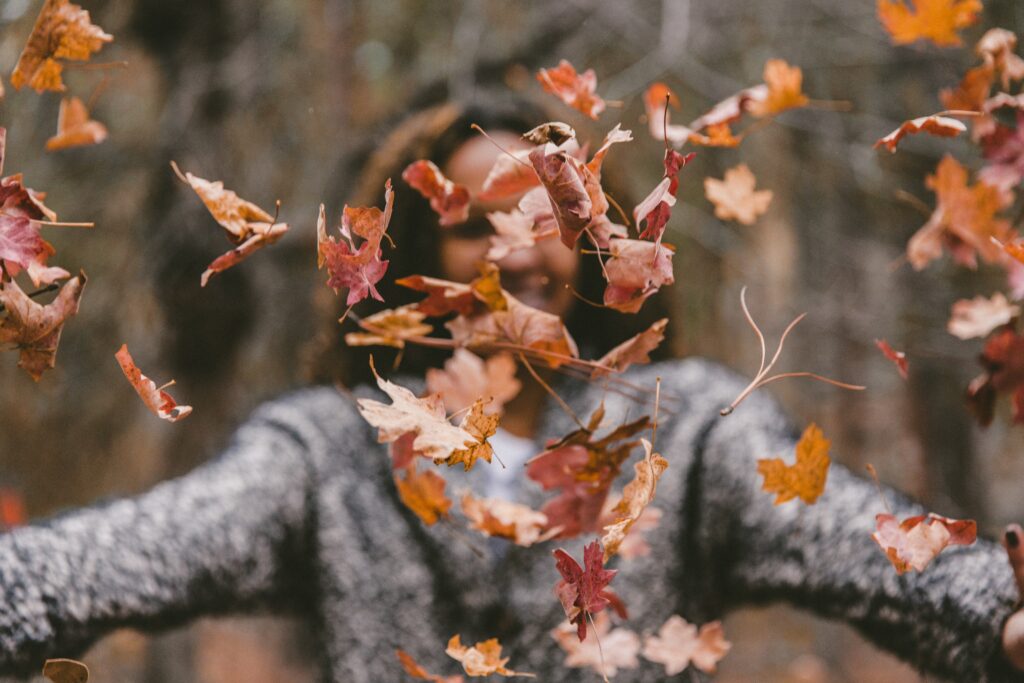 5 Fabulous Ways to Enjoy the Fall Leaves
