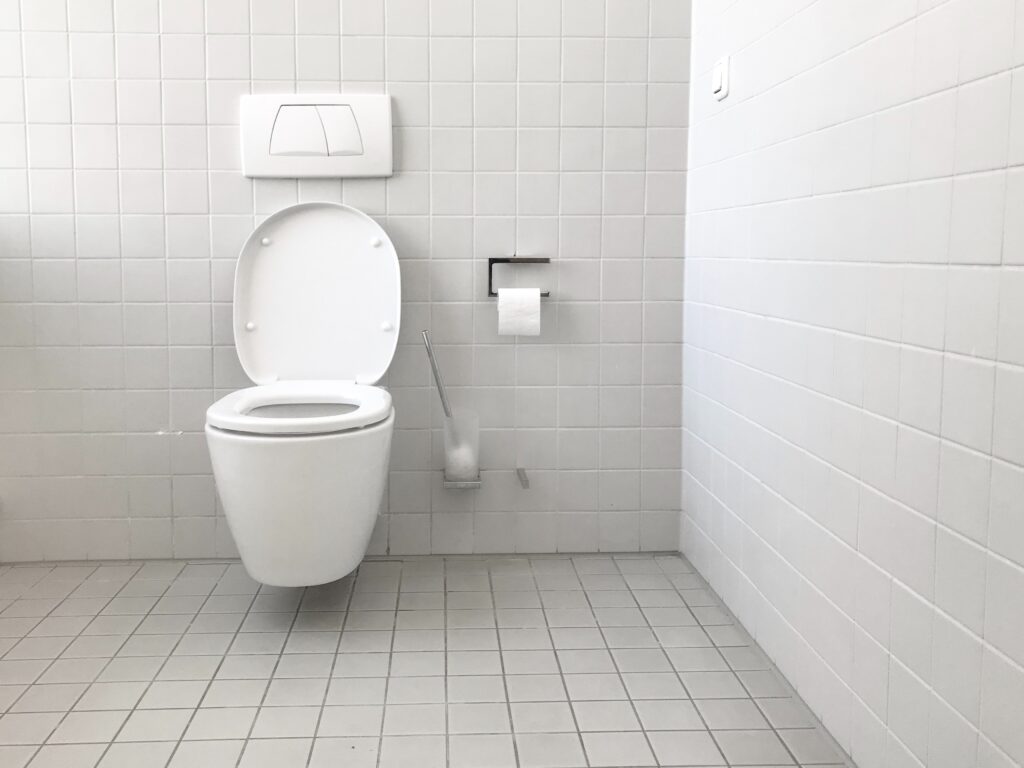Keeping the Toilet Bowl Clean and Ring-Free