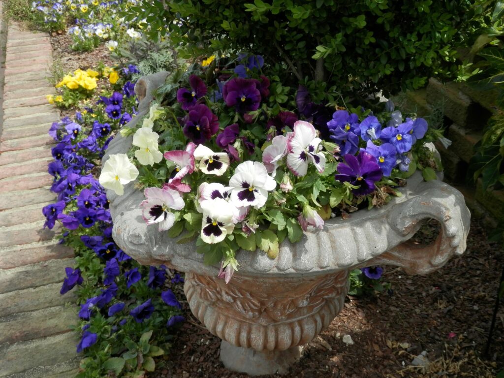 Prepping Outdoor Containers for Spring Flowers