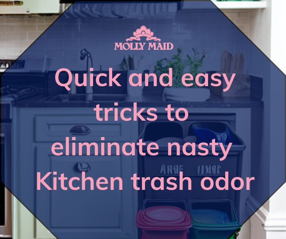 How to De-stink Your Kitchen Trash!