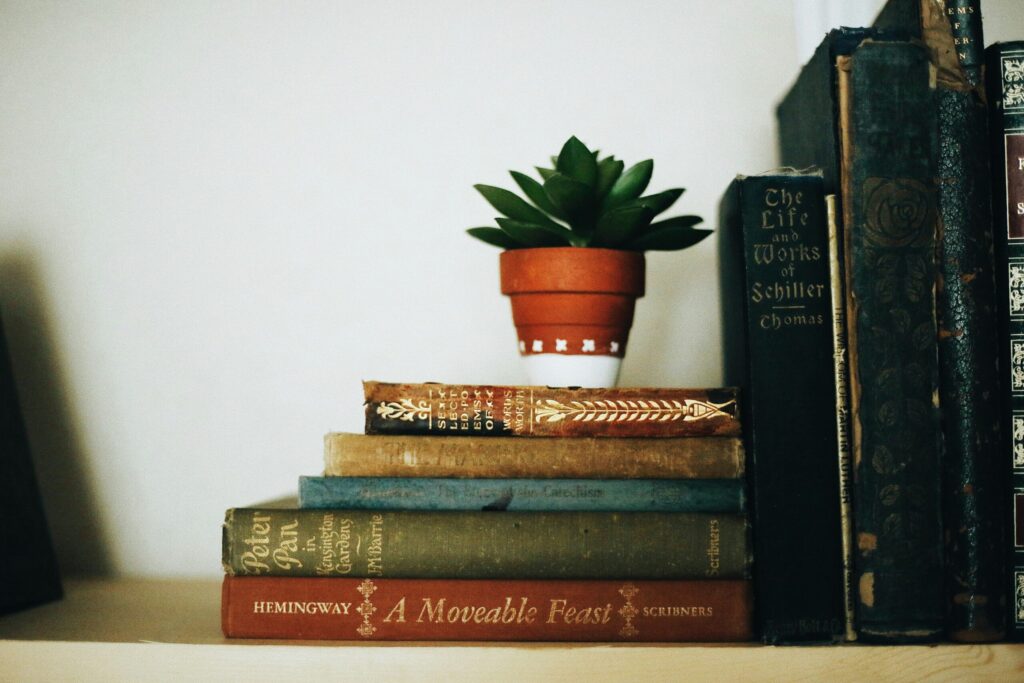 10 Unconventional Ways to Repurpose Bookends in Your Home