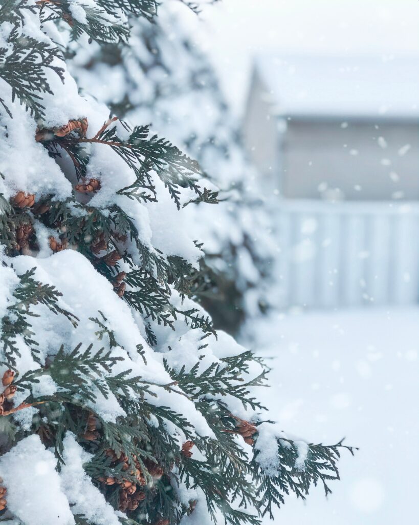 5 Things to Clean Before Snow Falls