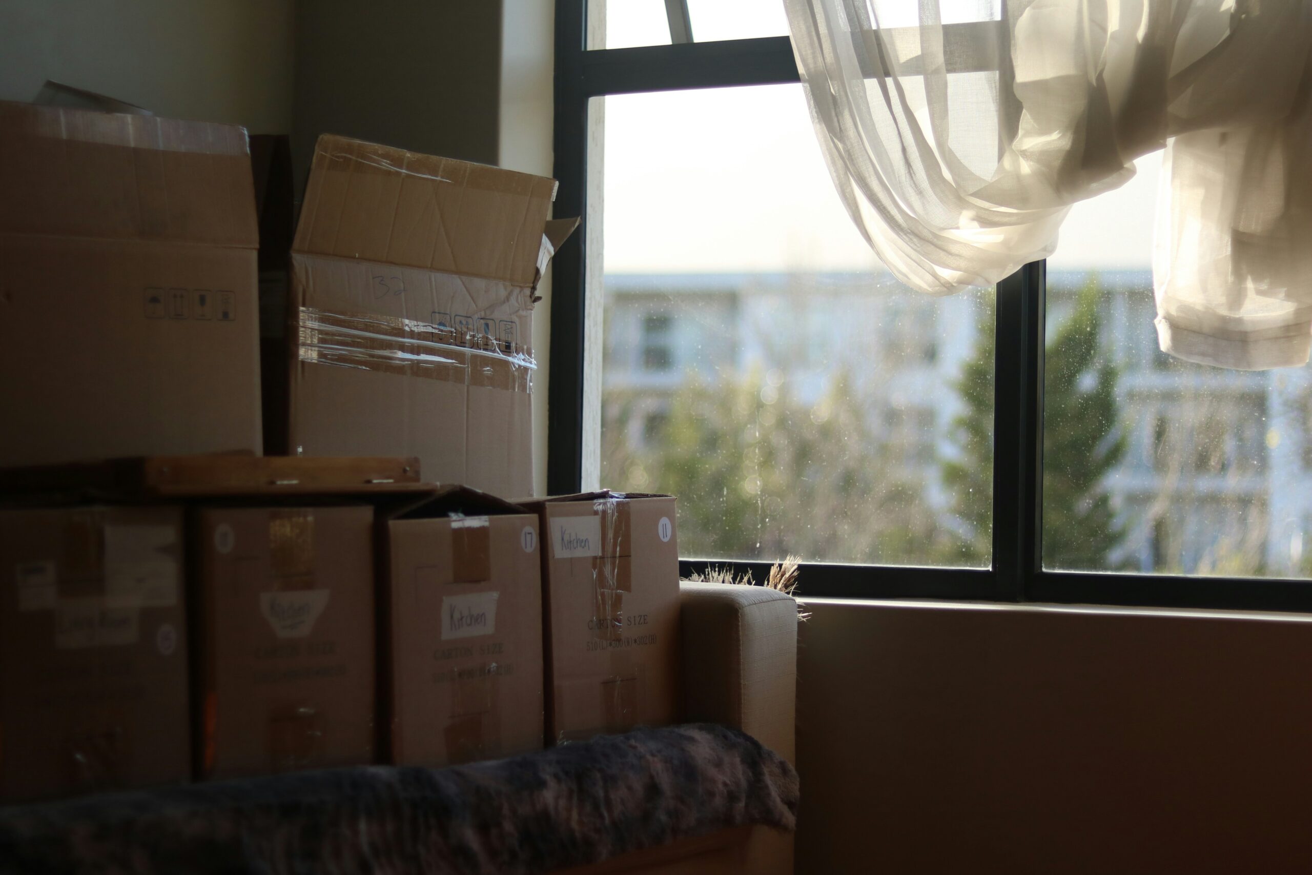 Declutter, Pack & Conquer: Your Guide to a Stress-Free Move ...