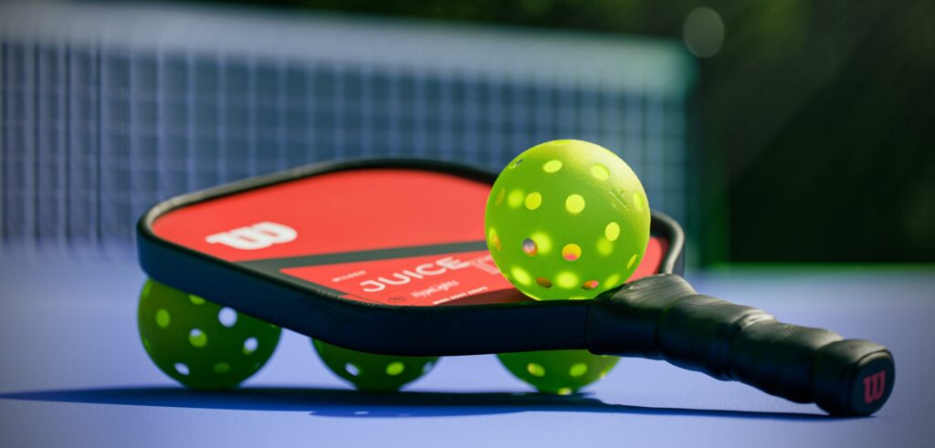 Essential Pickleball Maintenance from Beginner to Pro
